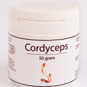 cordyceps 50 gram egenvårdspoolen